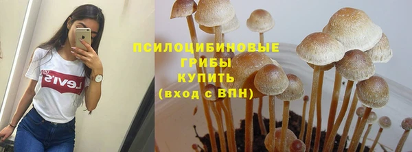 МДПВ Верхний Тагил