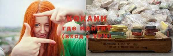 a pvp Бородино