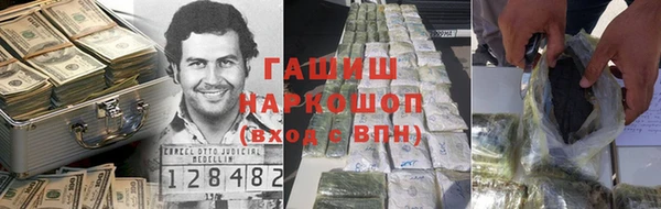 a pvp Бородино
